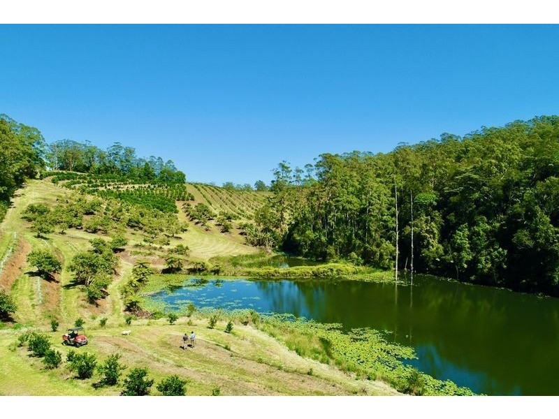 170 Bellthorpe West Road, Bellthorpe QLD 4514