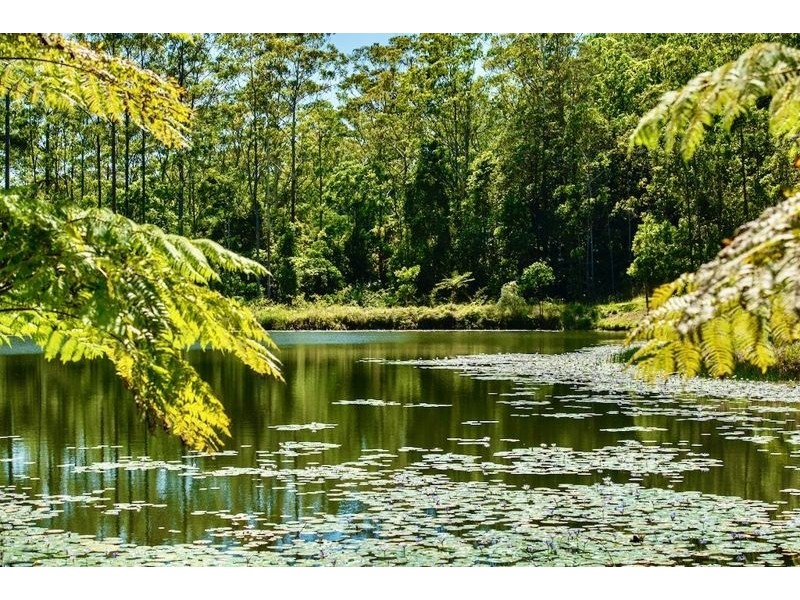 170 Bellthorpe West Road, Bellthorpe QLD 4514