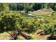 170 Bellthorpe West Road, Bellthorpe QLD 4514