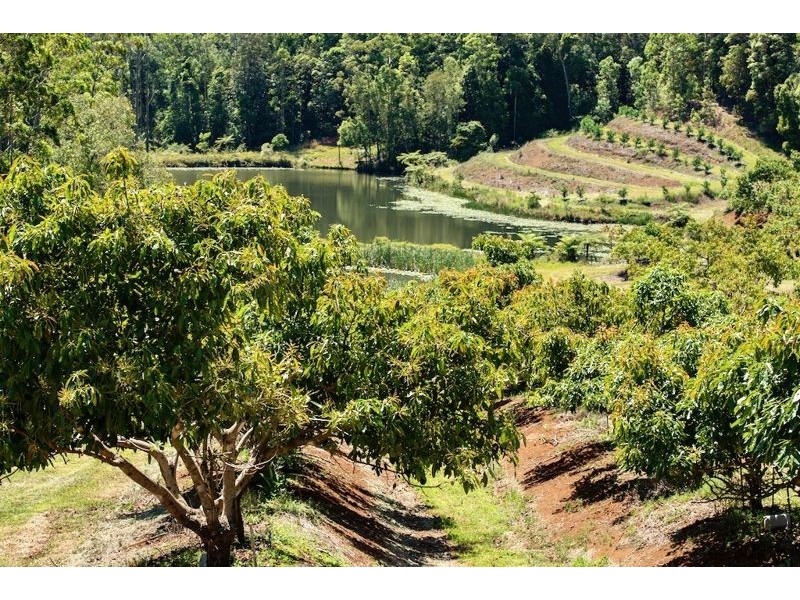170 Bellthorpe West Road, Bellthorpe QLD 4514