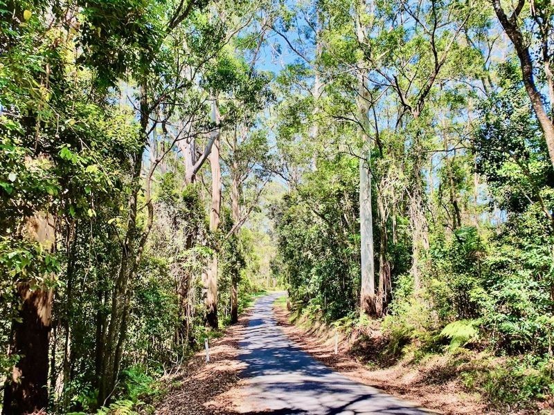 170 Bellthorpe West Road, Bellthorpe QLD 4514