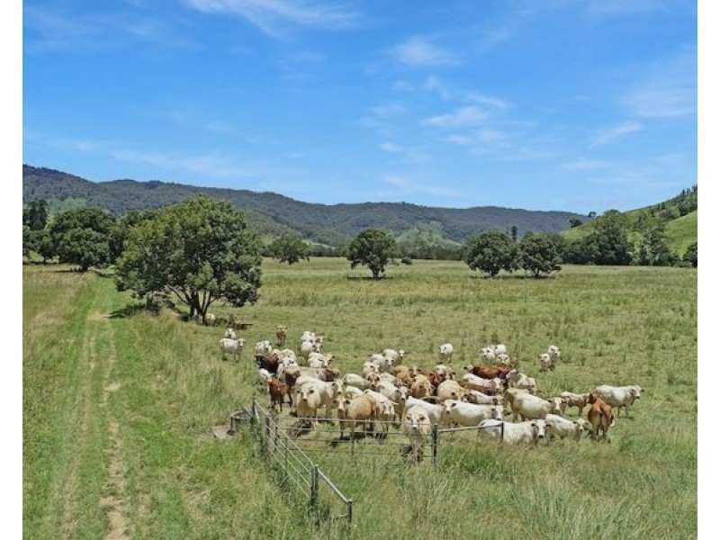 2054 Maleny Kenilworth Road, Conondale QLD 4552