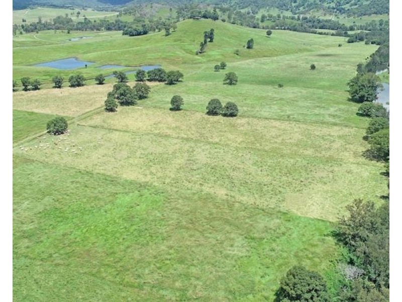 2054 Maleny Kenilworth Road, Conondale QLD 4552