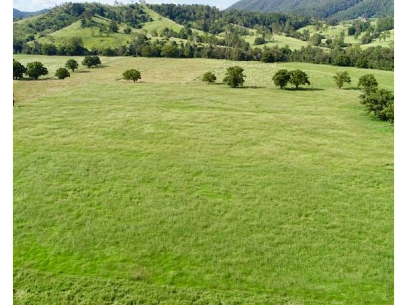 2054 Maleny Kenilworth Road, Conondale QLD 4552