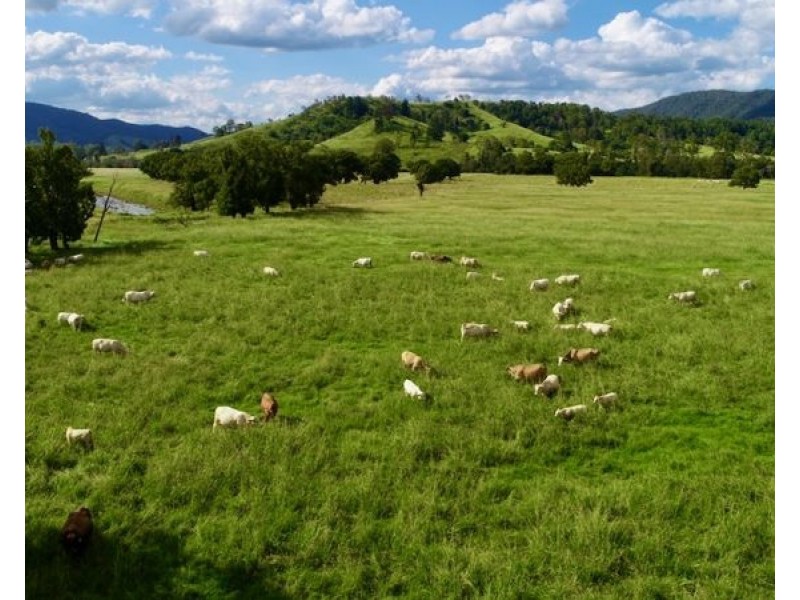 2054 Maleny Kenilworth Road, Conondale QLD 4552