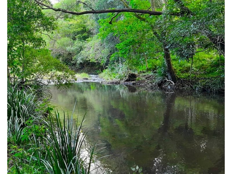 61 Burgess Avenue, Maleny QLD 4552