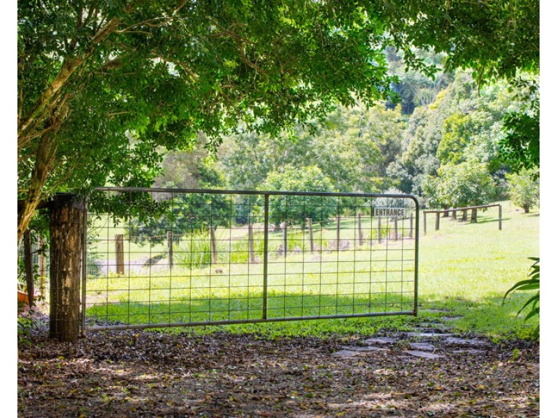 61 Burgess Avenue, Maleny QLD 4552