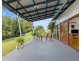 33 Avocado Lane, Maleny QLD 4552