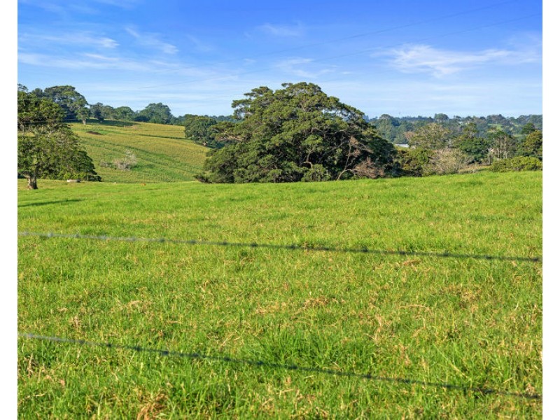 33 Avocado Lane, Maleny QLD 4552