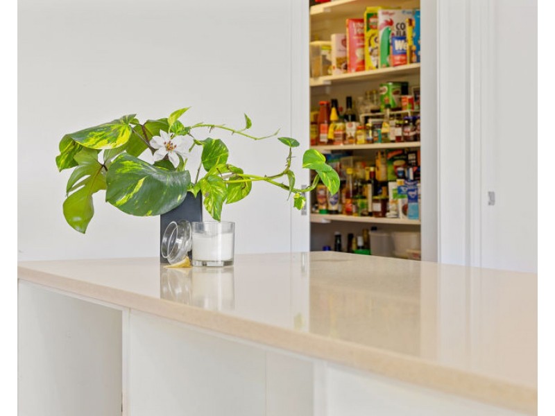 33 Avocado Lane, Maleny QLD 4552