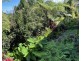 Maleny QLD 4552