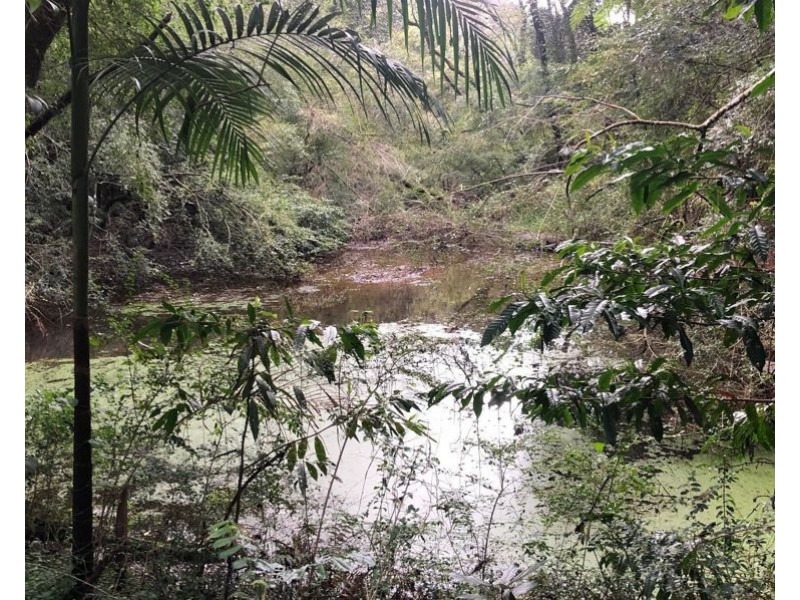 9 Vale End, North Maleny QLD 4552