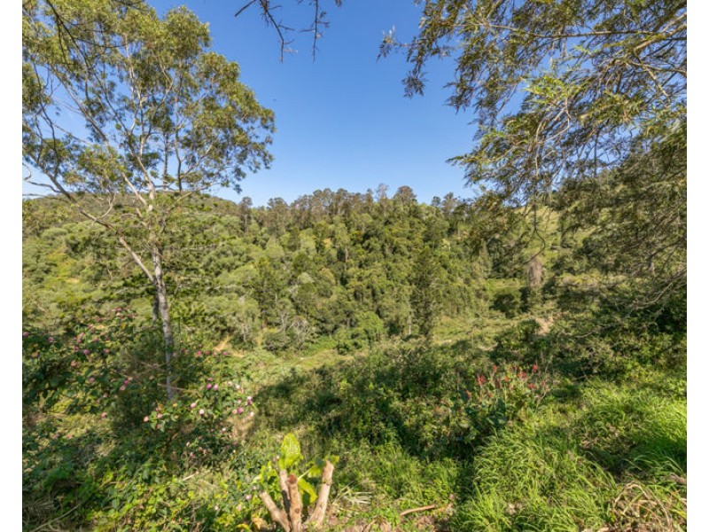 317 Booloumba Creek Road, Cambroon QLD 4552