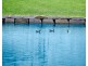 397-405 Aherns Road, Conondale QLD 4552