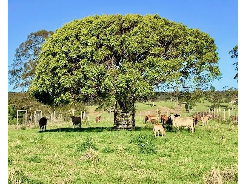 539-605 Bellthorpe West Road, Bellthorpe QLD 4514