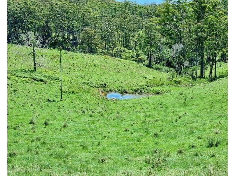 539-605 Bellthorpe West Road, Bellthorpe QLD 4514