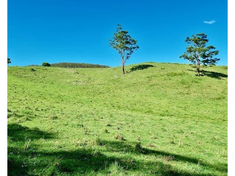 539-605 Bellthorpe West Road, Bellthorpe QLD 4514