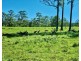 539-605 Bellthorpe West Road, Bellthorpe QLD 4514