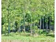 539-605 Bellthorpe West Road, Bellthorpe QLD 4514