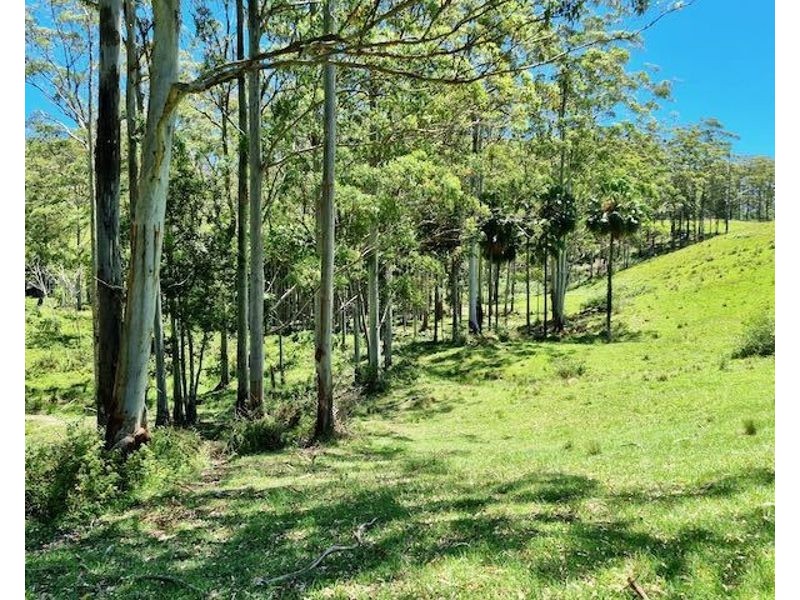 539-605 Bellthorpe West Road, Bellthorpe QLD 4514