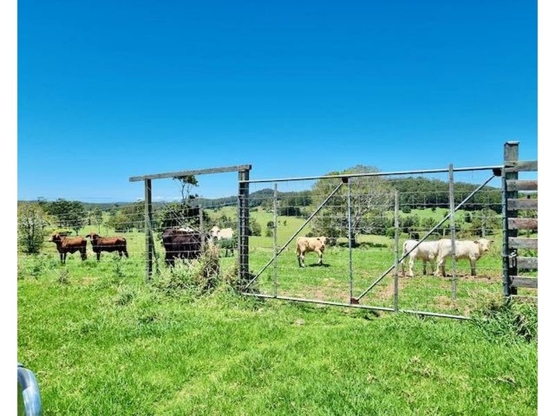 539-605 Bellthorpe West Road, Bellthorpe QLD 4514