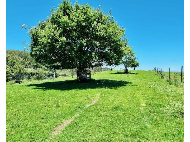 539-605 Bellthorpe West Road, Bellthorpe QLD 4514