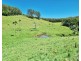539-605 Bellthorpe West Road, Bellthorpe QLD 4514