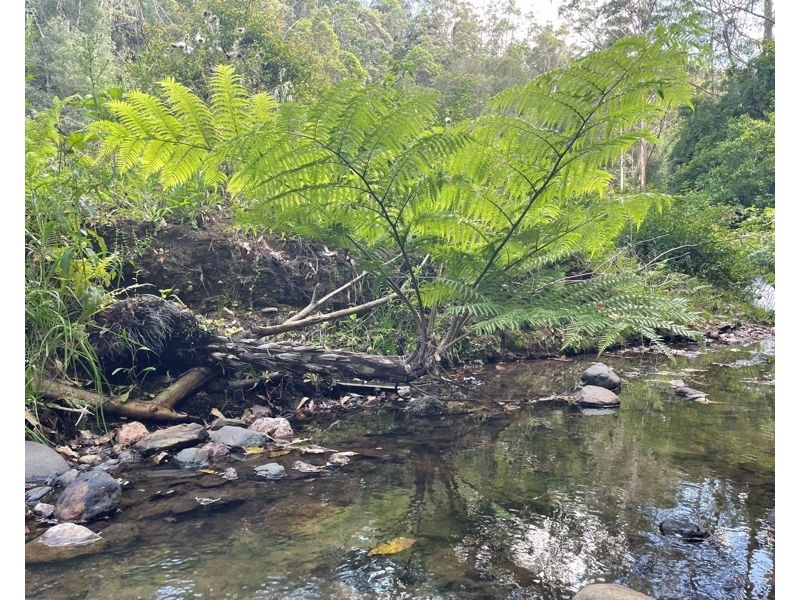 825 Maleny Kenilworth Rd, Elaman Creek QLD 4552