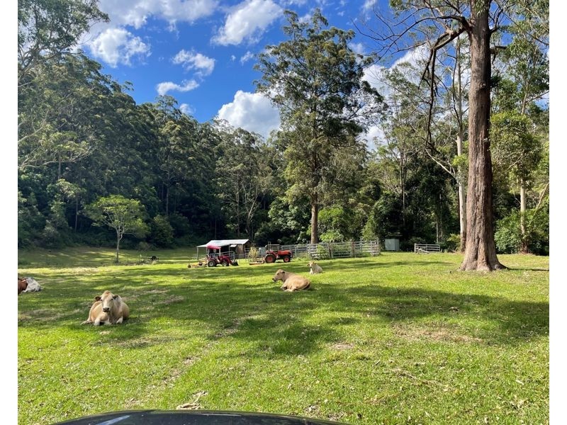 825 Maleny Kenilworth Rd, Elaman Creek QLD 4552