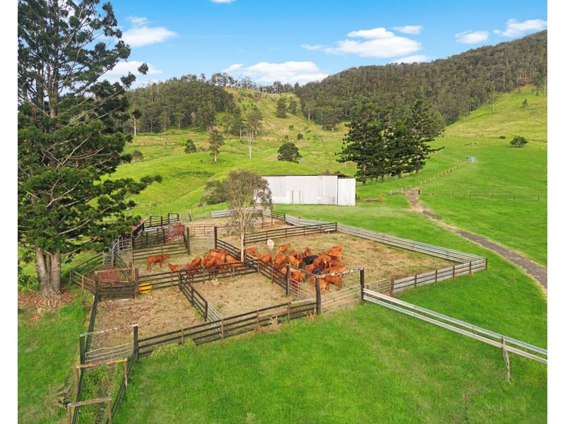 922 Eastern Mary River Road, Cambroon QLD 4552