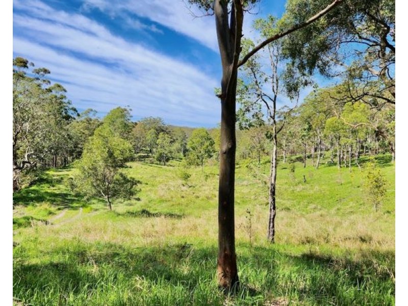 BELLTHORPE WEST RD, Conondale QLD 4552