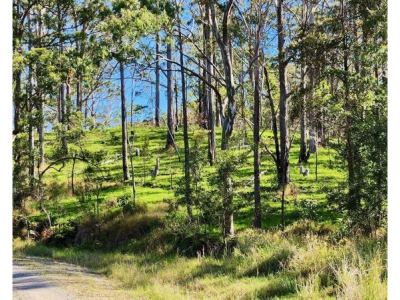 BELLTHORPE WEST RD, Conondale QLD 4552