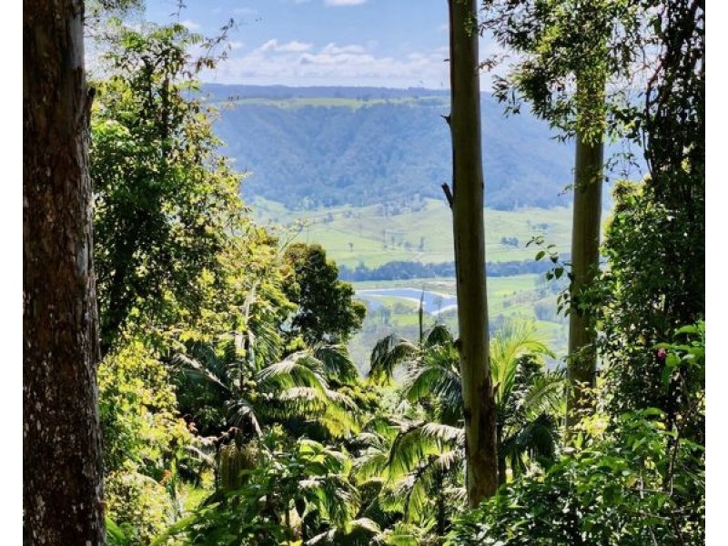 BELLTHORPE WEST RD, Conondale QLD 4552