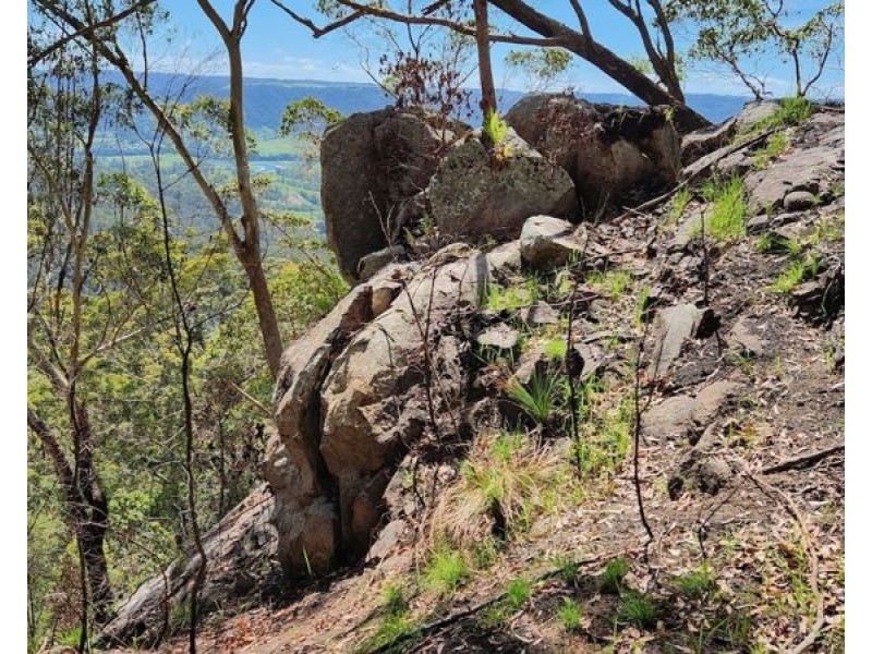 BELLTHORPE WEST RD, Conondale QLD 4552