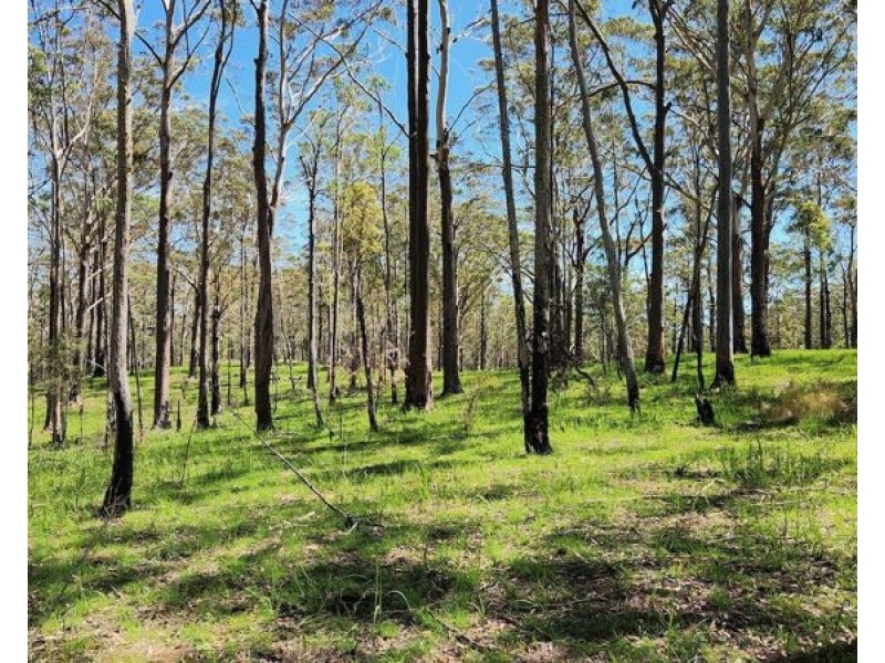 BELLTHORPE WEST RD, Conondale QLD 4552