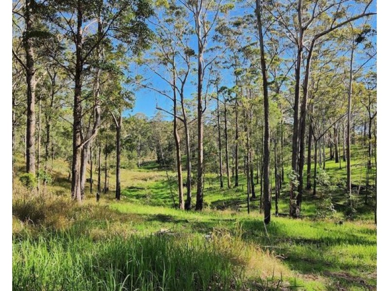 BELLTHORPE WEST RD, Conondale QLD 4552