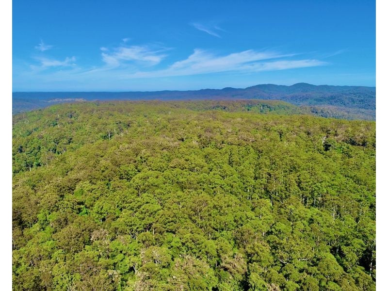 BELLTHORPE WEST RD, Conondale QLD 4552