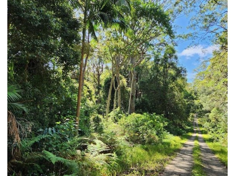 BELLTHORPE WEST RD, Conondale QLD 4552