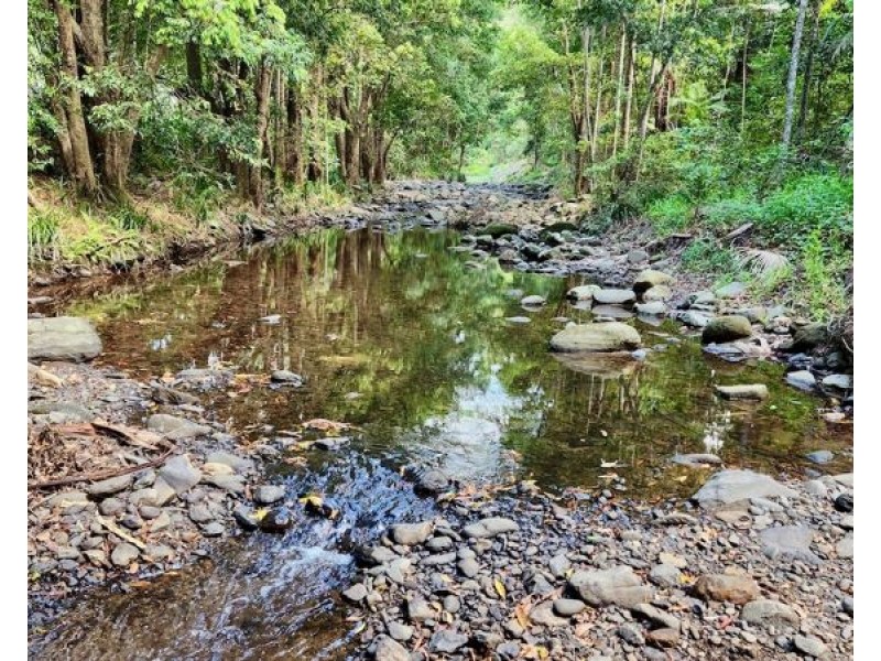 3 Shady Lane, Diamond Valley QLD 4553