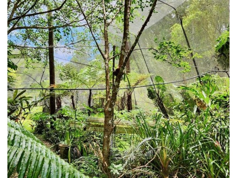 3 Shady Lane, Diamond Valley QLD 4553