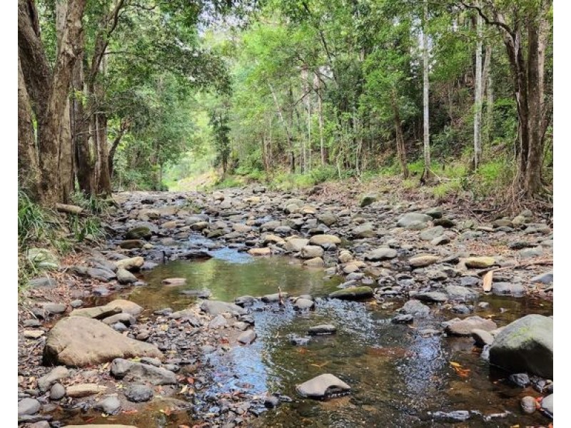 3 Shady Lane, Diamond Valley QLD 4553