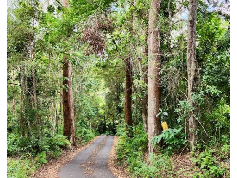 3 Shady Lane, Diamond Valley QLD 4553