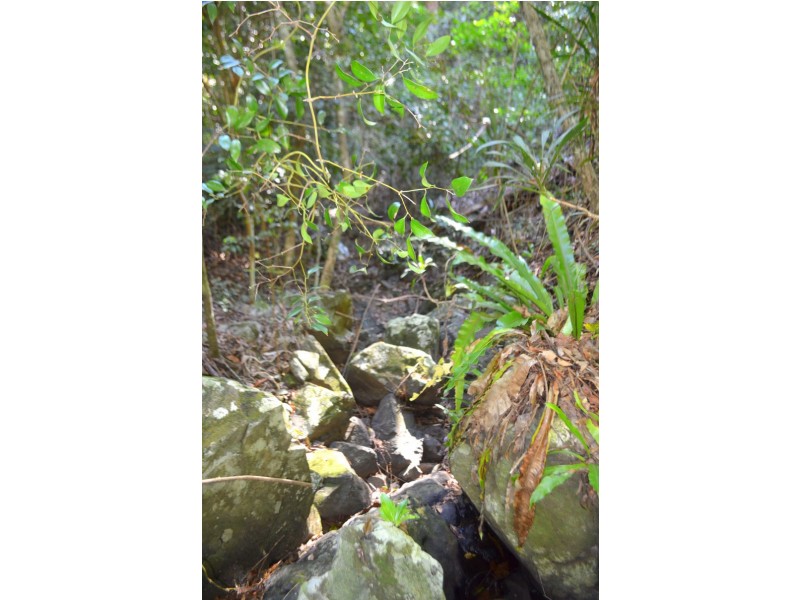 792 Maleny Kenilworth Road, Elaman Creek QLD 4552