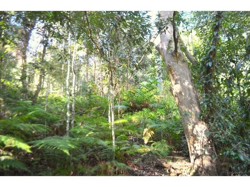 792 Maleny Kenilworth Road, Elaman Creek QLD 4552