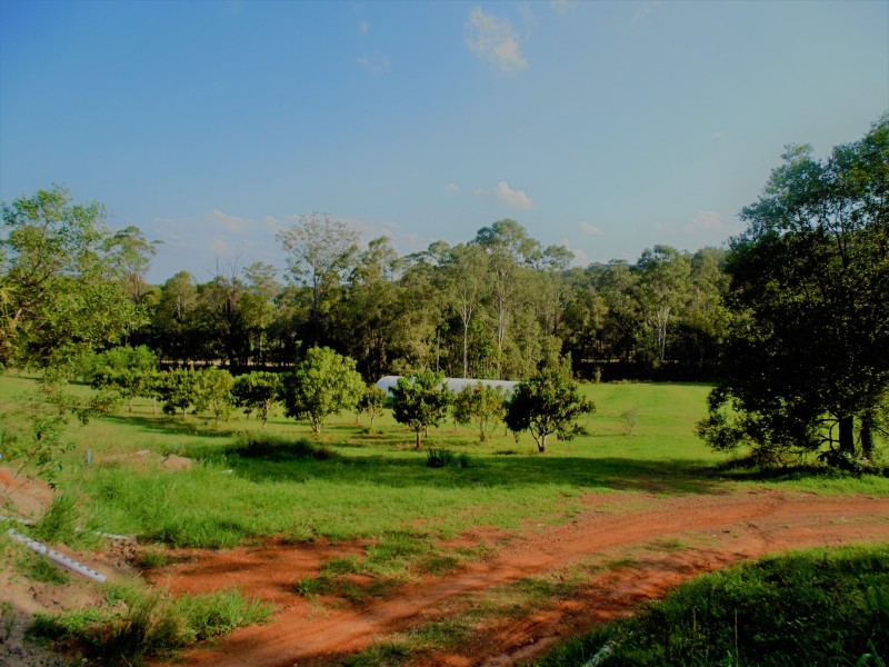 160 Gold Creek Road, North Arm QLD 4561