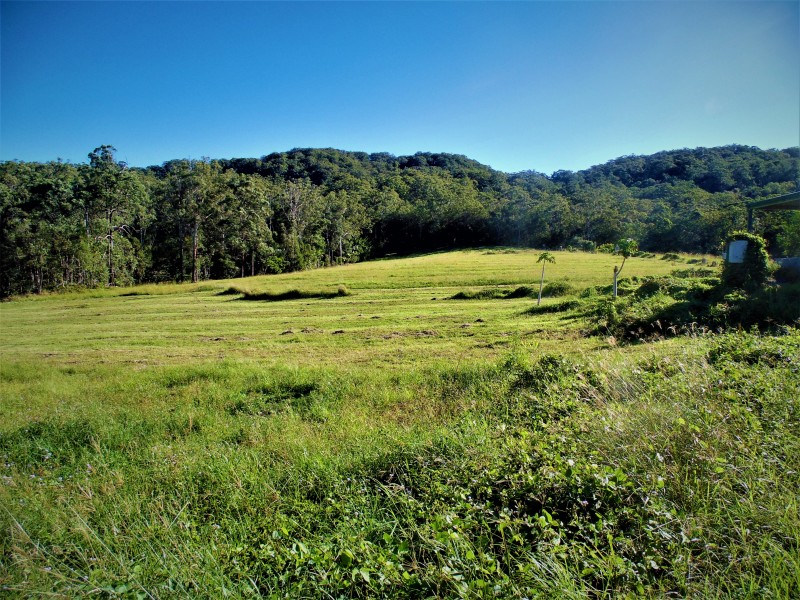 160 Gold Creek Road, North Arm QLD 4561