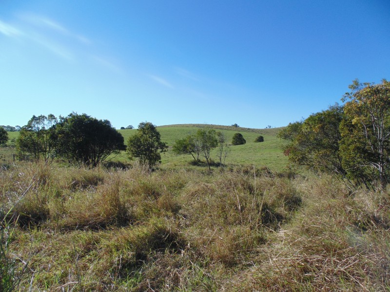 23 Bidners Road, Lake Macdonald QLD 4563