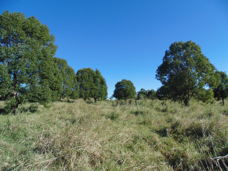 23 Bidners Road, Lake Macdonald QLD 4563