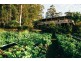 123 Killawarra Road, Lake Macdonald QLD 4563