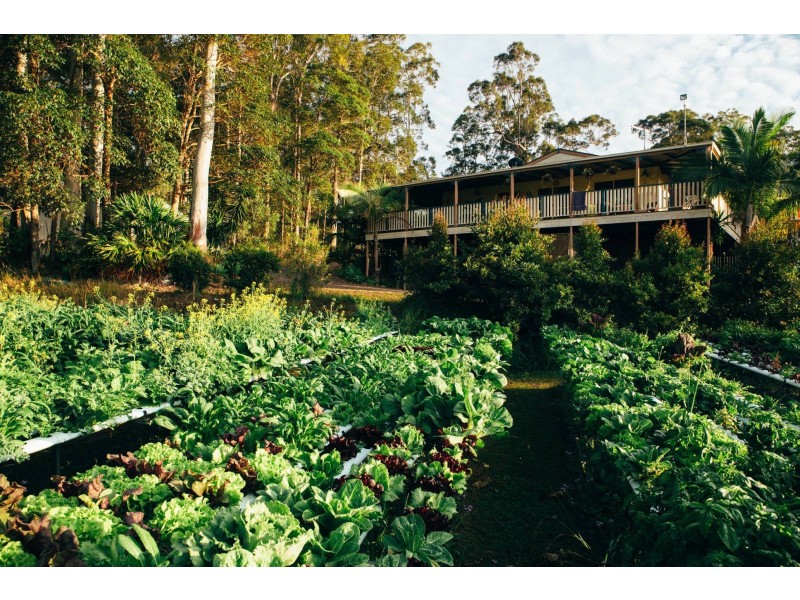 123 Killawarra Road, Lake Macdonald QLD 4563